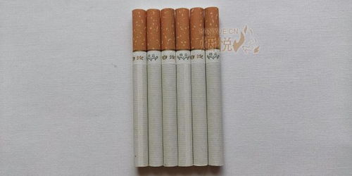 白沙（新精品）香烟多少钱一包,白沙烟鸿运当头多少钱一包  第5张