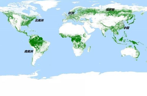 世界政区图,全球行政区划的视觉呈现  第3张